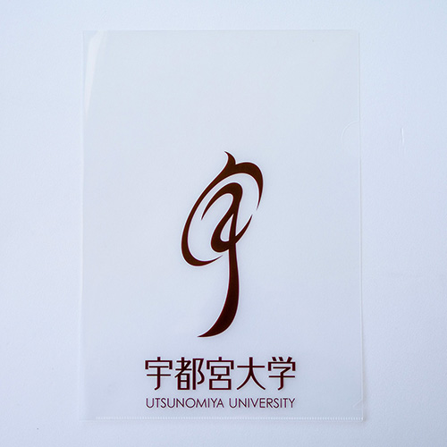 クリアカラーのクリアホルダーの画像