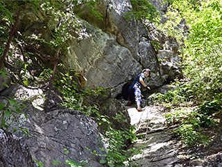 コメント者の画像