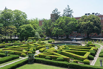 総合情報学専攻画像