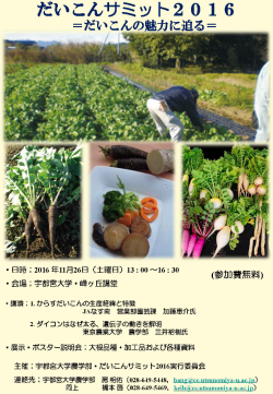 2016daikon_summit.png
