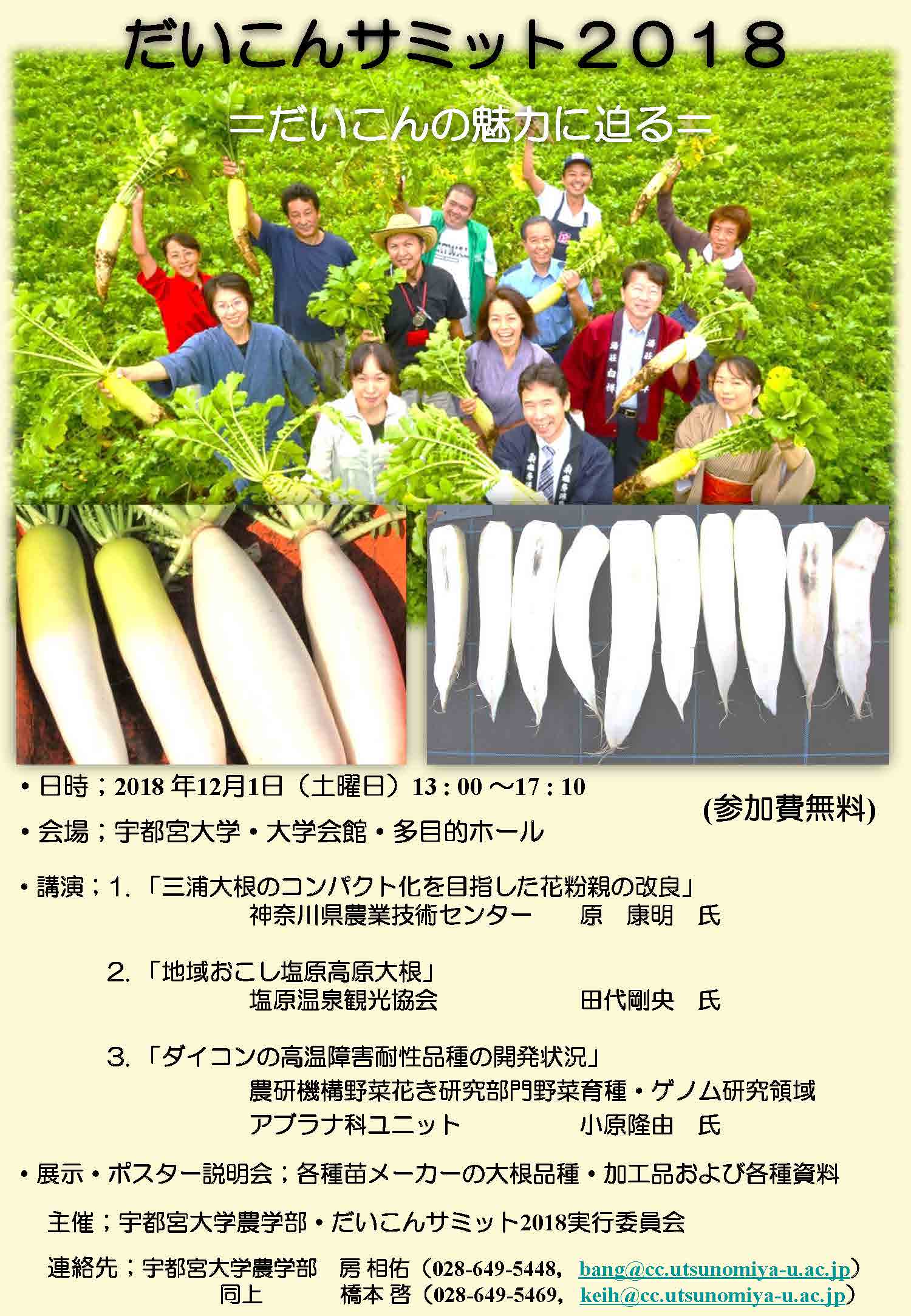 2018daikon_summit.jpg