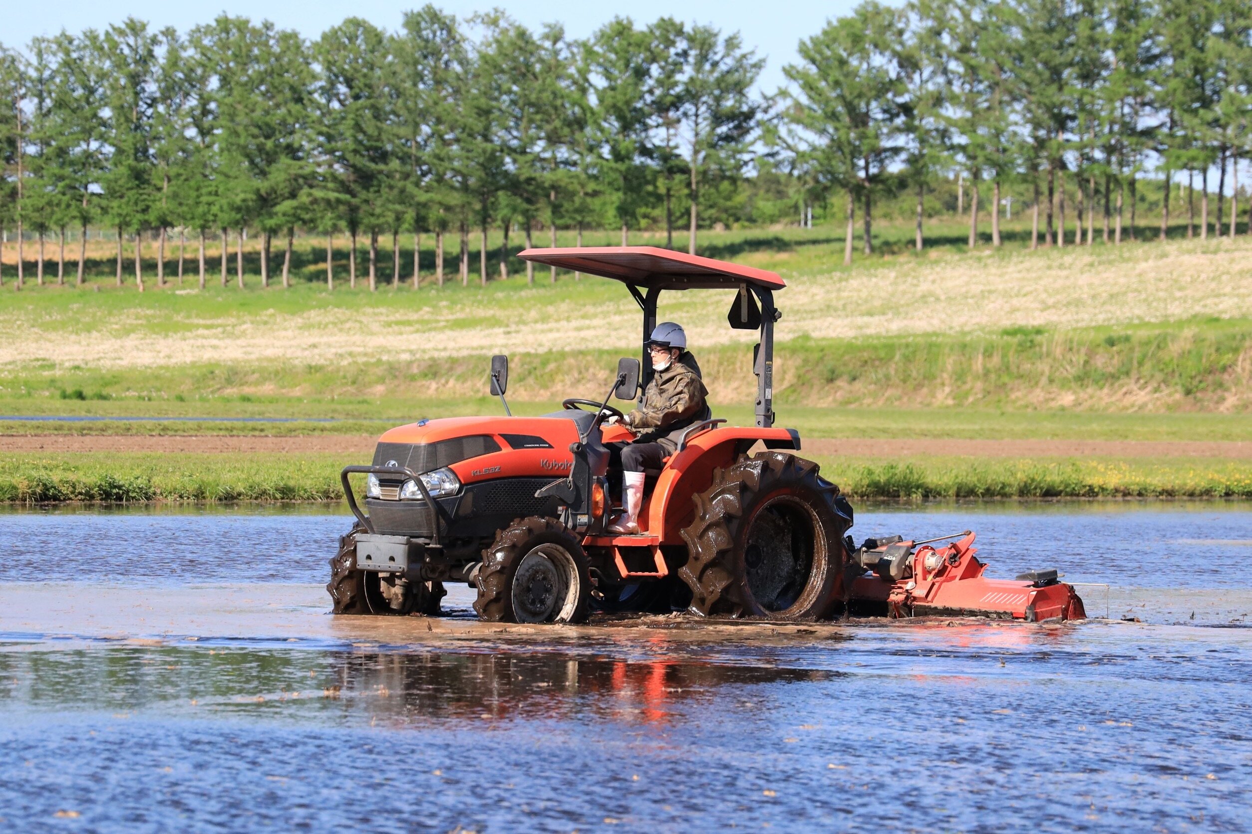 農場で職員がトラクターを運転して田んぼを耕している写真