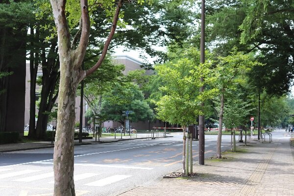 メインストリート（峰キャンパス）